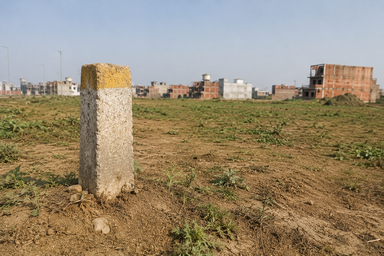 The Shamlat Land Scam Is Still Running — Through the Revenue Office